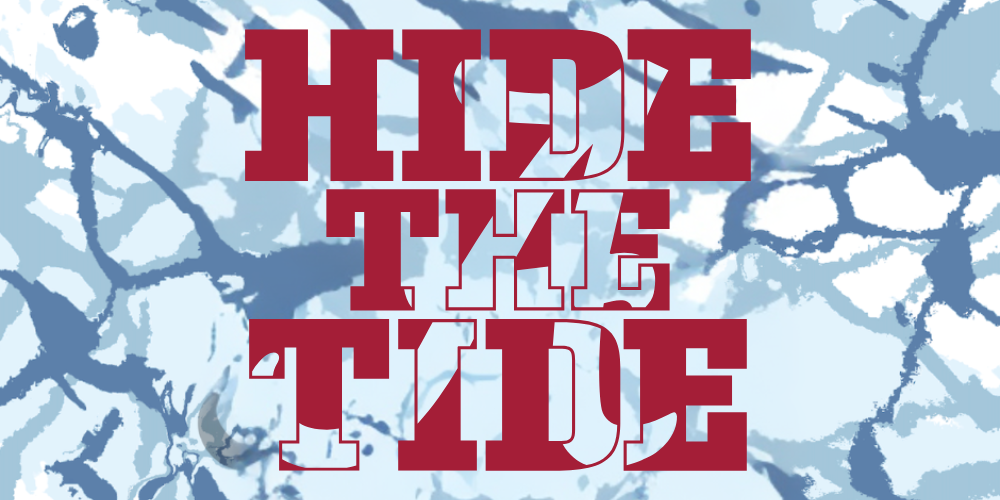 Shop our new brand: Hide The Tide!!