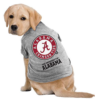 Hat - Dark Grey – Alabama Canine